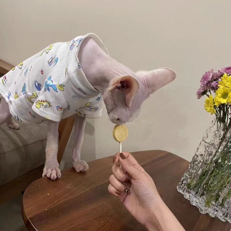 Bánh Thưởng Que Sấy Lollipop Cho Cún Mèo - 1.4g