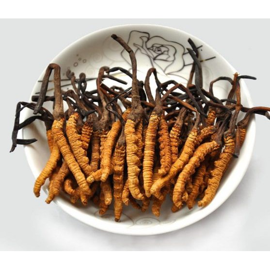 KEM ENYA ĐÔNG TRÙNG HẠ THẢO - LINH CHI 20G  5.0