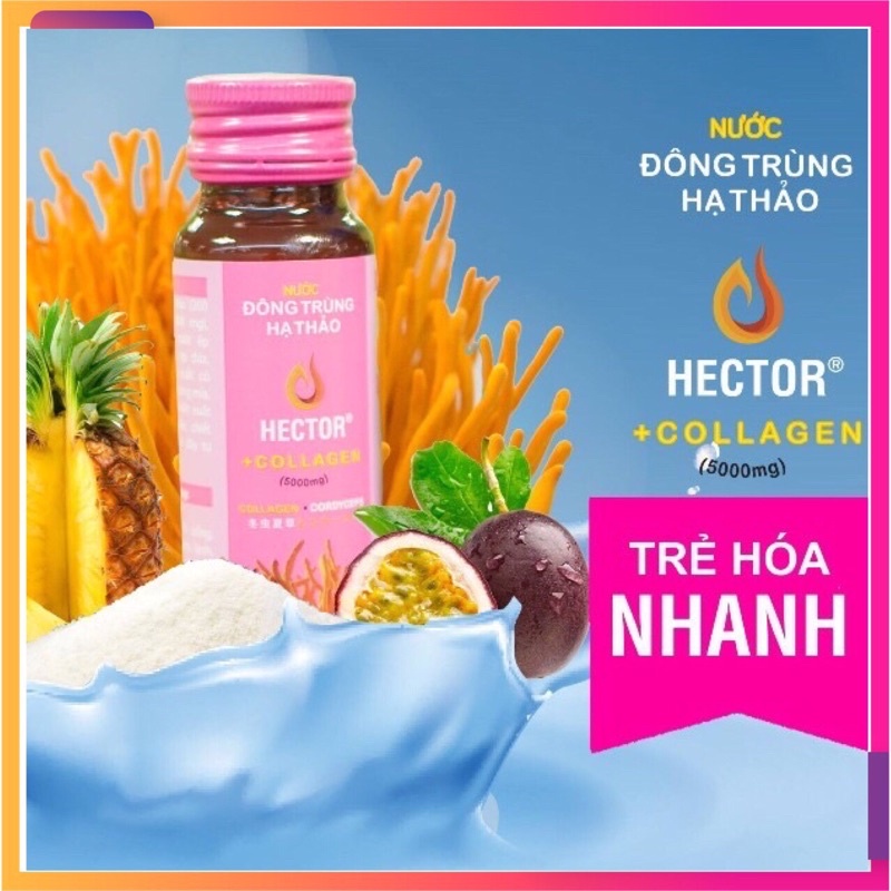 Nước uống Đông trùng hạ thảo Hector Sâm - tăng lực nhanh, phục hồi sức khoẻ