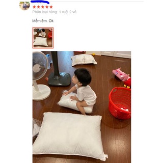 Ruột Gối Khách Sạn 5⭐ Microfiber Premium 60x80 60x90 Siêu Phồng Đàn Hồi Cao Không Xẹp Gối Ngủ Cao Cấp Chuẩn Resort