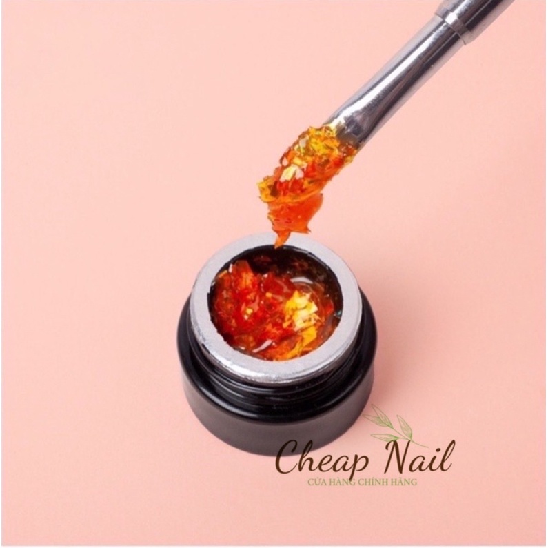 Gel hổ phách set 6 hũ tặng kèm bảng màu - Cheap Nail