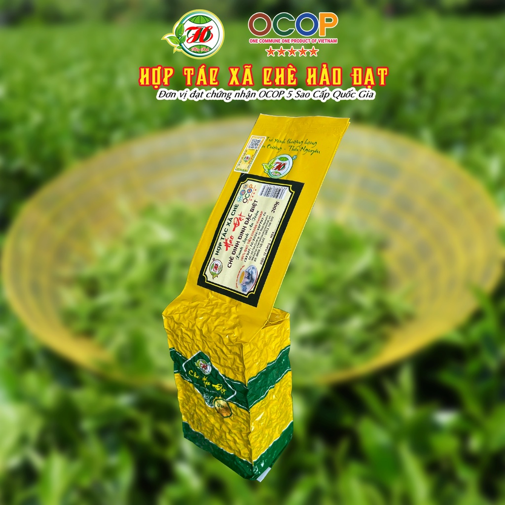 Chè Đinh Đặc Biệt - Hợp Tác Xã Chè Hảo Đạt - Chè Tân Cương Thái Nguyên