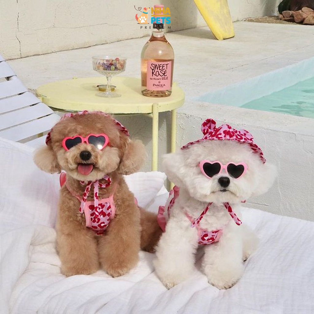 Mắt Kính Cho Chó Mèo Đi Bơi Phụ Kiện Kính Thời Trang Cho Thú Cưng Chụp Ảnh Dễ Thương Sành Điệu Hihapet.