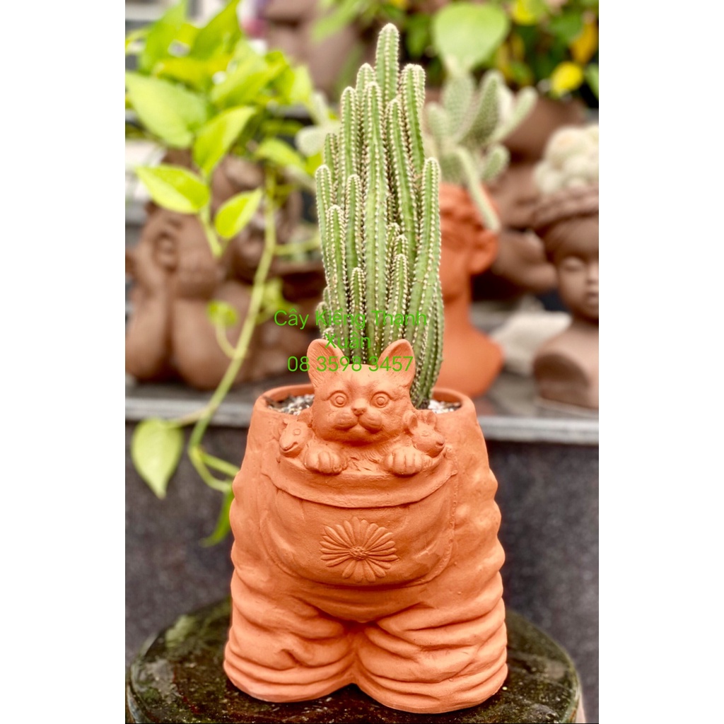 Chậu đất nung trồng cây - Chậu trồng cây sen đá, xương rồng Hình quần hoa có lỗ thoát nước ( không bao gồm cây)