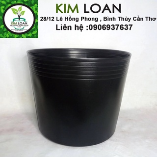 Combo 20 chậu mềm C13 35x29cm