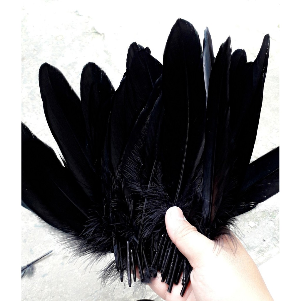 Lông vũ LỚN - màu trắng và đủ màu : 1 bịch 10g khoảng 20 cái