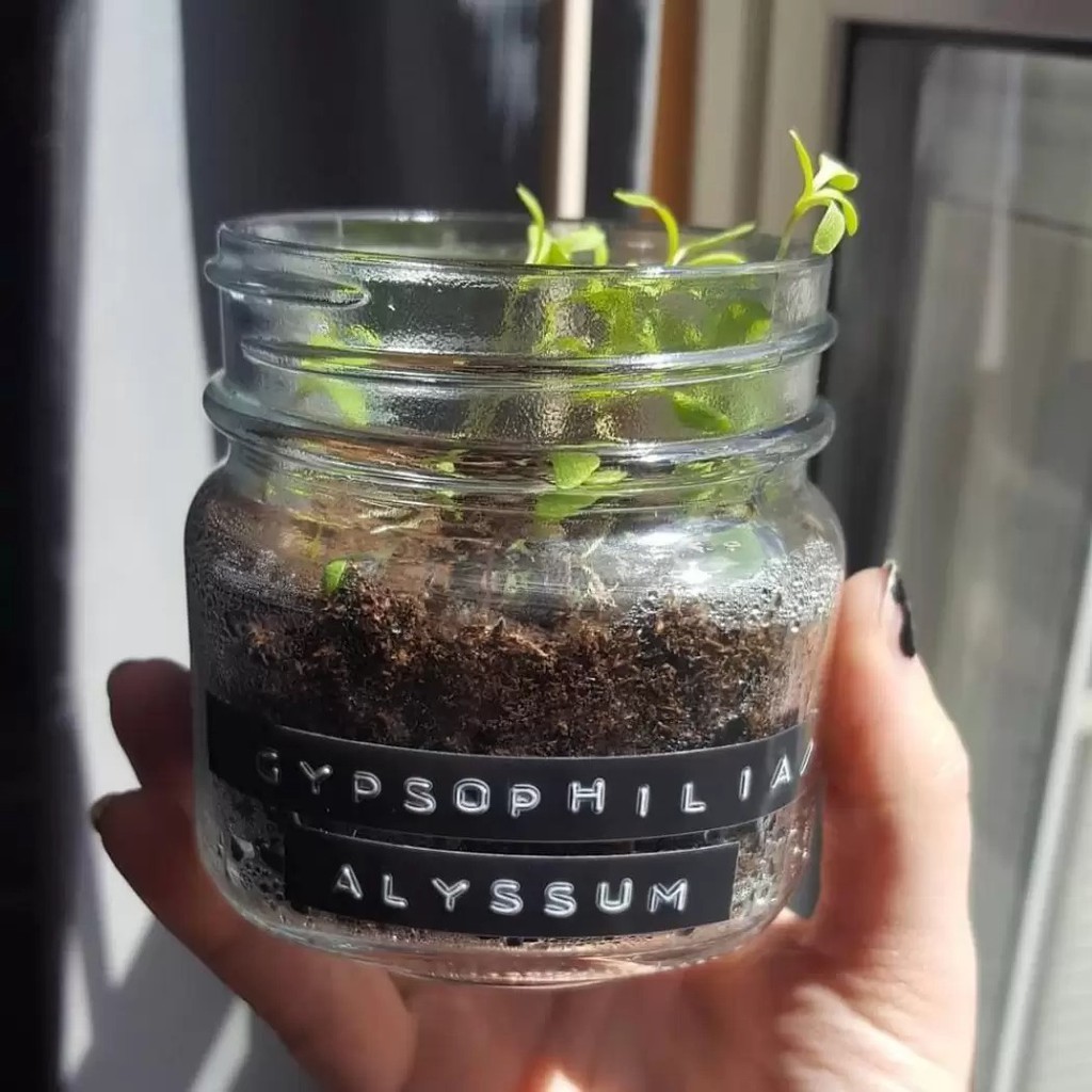 Máy dập chữ nổi 3D trên nhựa DYMO Organize Express Embosser | BigBuy360 - bigbuy360.vn