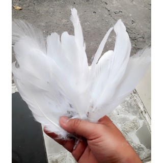 lông vũ nhỏ - lớn 25K / BỊCH / SIZE 15-22CM / KHOẢNG 20c / LÔNG TRẮNG LỚN