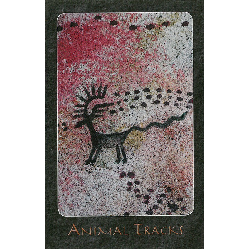 Bộ Bài A Shaman Oracle (Mystic House Tarot Shop) - Bài Gốc Authentic Chính Hãng 100%