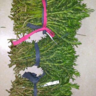 Hoa mười giờ