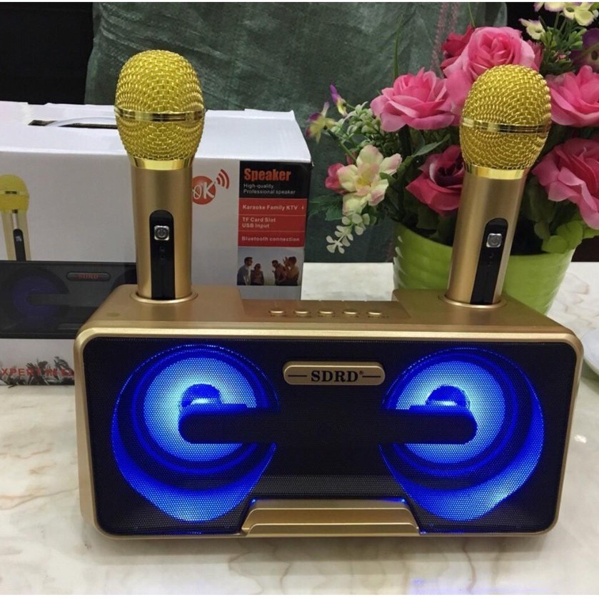 Loa Karaoke SD 301 - SD 306 - SD 309  Kèm 2 Micro Không Dây tích hợp bluetooth 4.0 - usb - thẻ nhớ