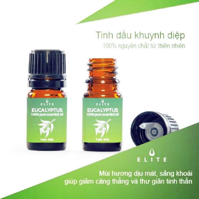 Tinh dầu khuynh diệp - Eucalyptus essential oil