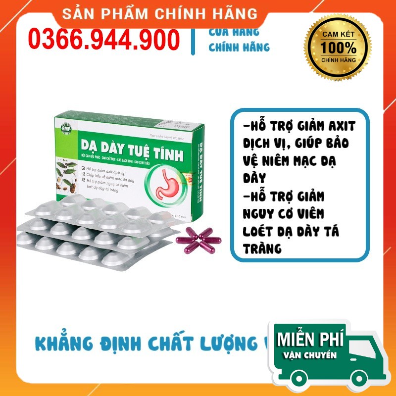 Dạ Dày Tuệ Tĩnh