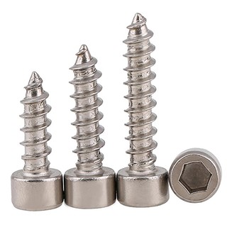 Ốc vít đầu lục giác bằng thép không gỉ a2 m2 m2.5 m3 m3.5 m4 m5 m6