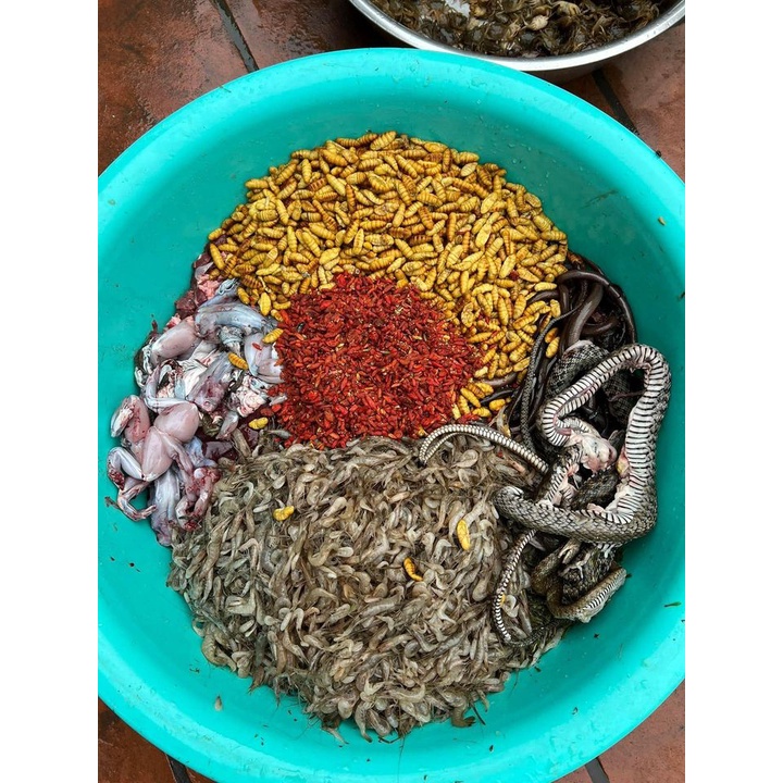 300g Cám Cu gáy giàu dinh dưỡng, Vỗ béo & Kích lửa