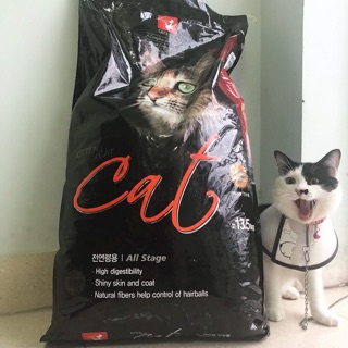 Cám hạt Cateye Hàn Quốc cho mèo