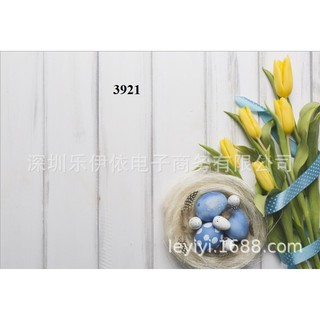 Phông nền chụp ảnh 3D (Mẫu mới)