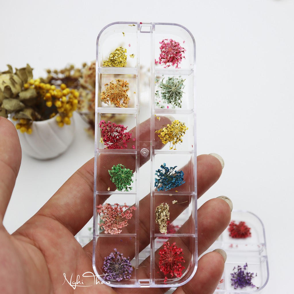 Hoa khô nail trang trí móng cánh nhỏ 12 màu