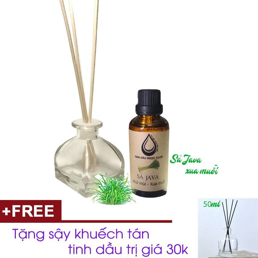 Combo tinh dầu sả java 50ml CỘNG lọ sậy khuếch tán Ngọc Tuyết TẶNG sậy khuếch tán tinh dầu