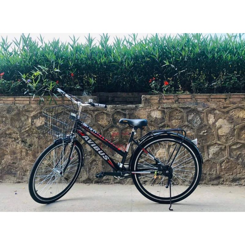 Xe đạp cào 24in