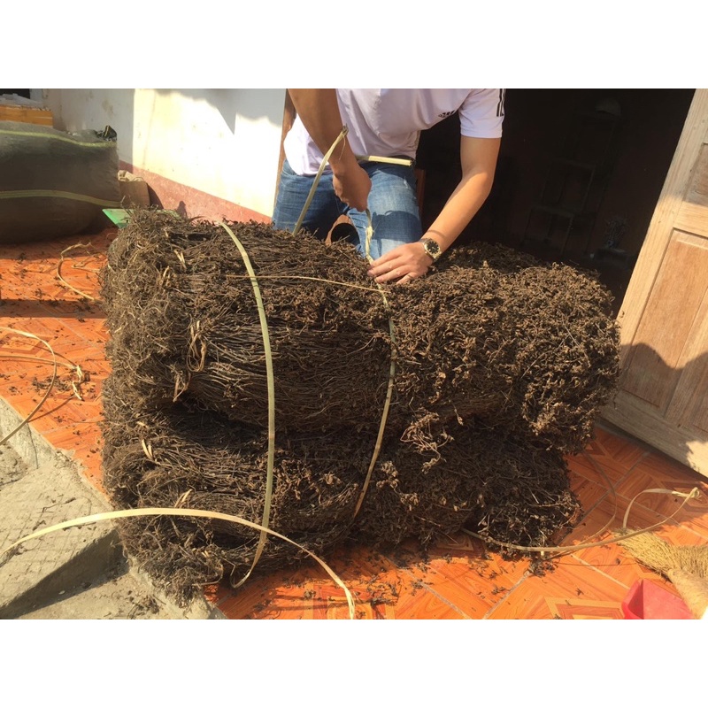 CÂY THẠCH ĐEN CAO BẰNG 500g