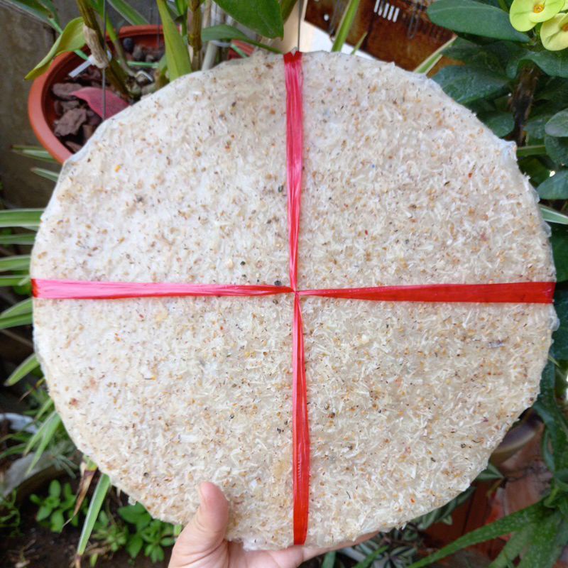 BÁNH TRÁNG NƯỚC CỐT DỪA BÌNH ĐỊNH