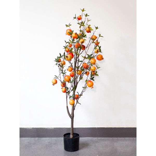 Cây lựu màu đỏ trang trí nhà cửa / Jassi Decor