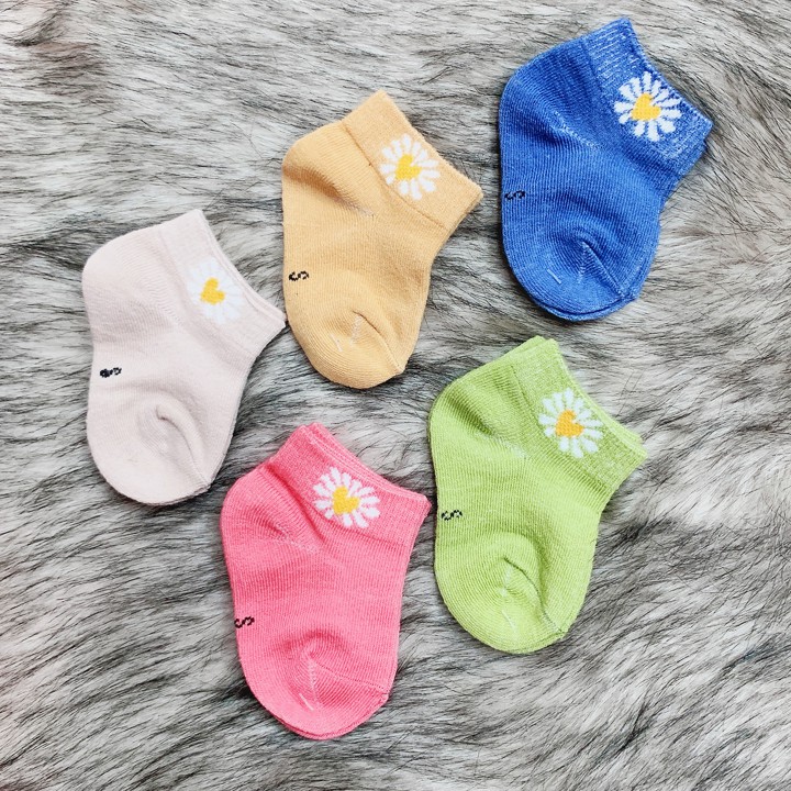 Set 5 đôi tất vớ cổ thấp cho bé 0-2 tuổi chất cotton nhẹ mát 5 màu phối hoa cúc hottrend xinh xắn BBShine – T014