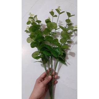 Cụm lá táo