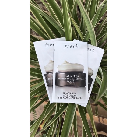kem mắt fresh black tea age- delay eye concentrate 1,5ml | BigBuy360 - bigbuy360.vn