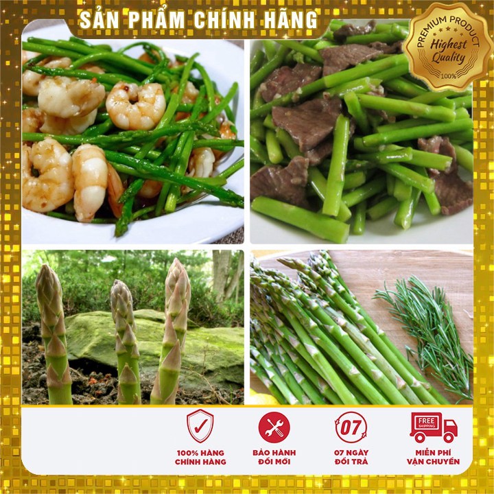 COMBO 20 hạt giống măng tây xanh và tím