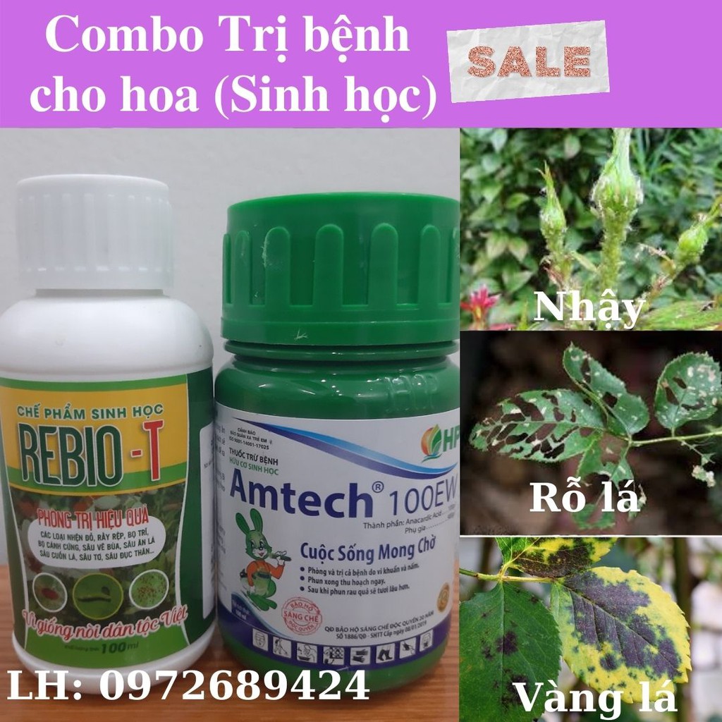 Combo trị bệnh cho hoa hồng (Nguồn gốc sinh học)