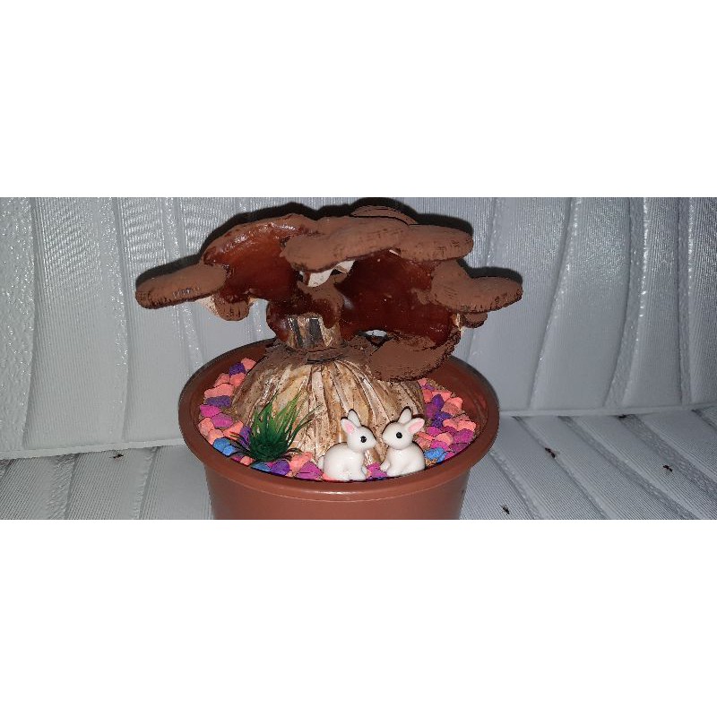 Cây linh chi bonsai (tạo dáng độc lạ)
