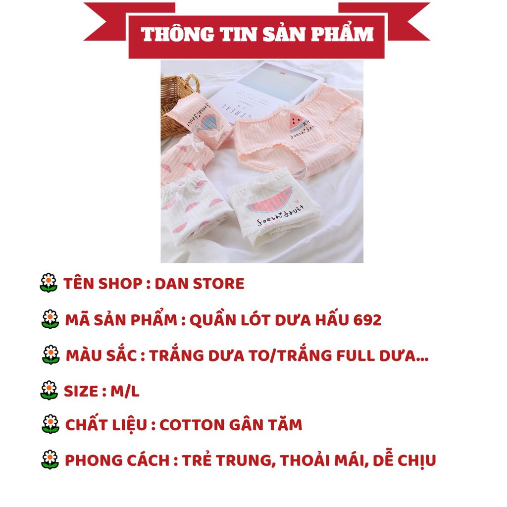 Quần Lót Nữ Cotton gân tăm hình dưa hấu mỏng mát tôn dáng dễ thương DAN STORE mẫu 692
