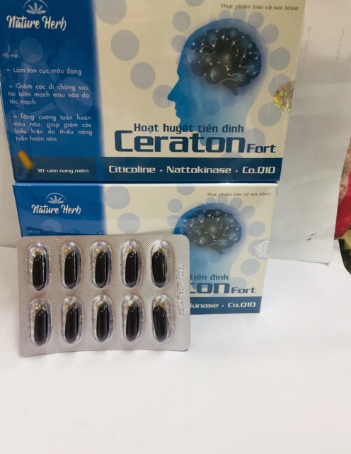 Hoạt huyết tiền đình Ceraton fort