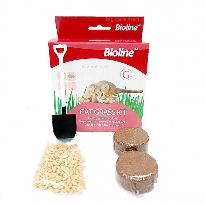 Bộ Trồng Cỏ Tươi Cho Mèo Cat Grass Kit Bioline Hộp 12g