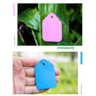- Set 100 thẻ ghi tên - Tag ghi tên cây trồng, tài liệu dạng treo kích thước 3x4,5cm hàng đẹp, chuyên cho cây hoa cảnh.