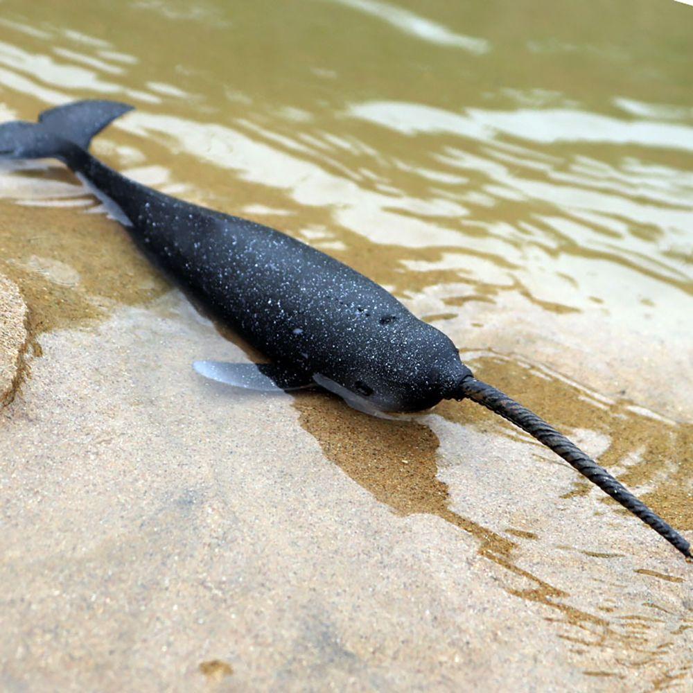 Mô Hình Narwhal Đồ Chơi Giáo Dục Khoa Học Tự Nhiên