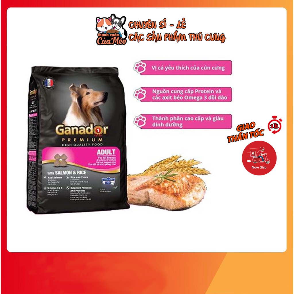Ganador - Thức ăn hạt dành cho chó ( Vị Cá Hồi )