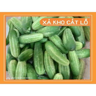 Hạt giống Dưa chuột nếp thơm