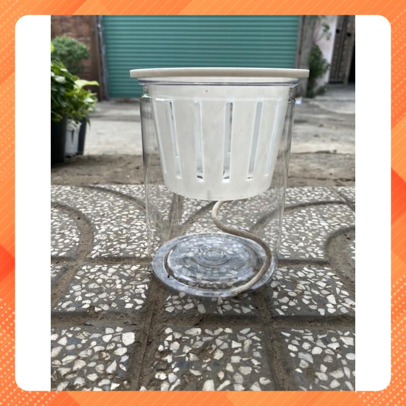 CHẬU NHỰA THUỶ SINH - TẶNG DÂY NỐI NƯỚC & HẠT DẺO ĐỦ MÀU