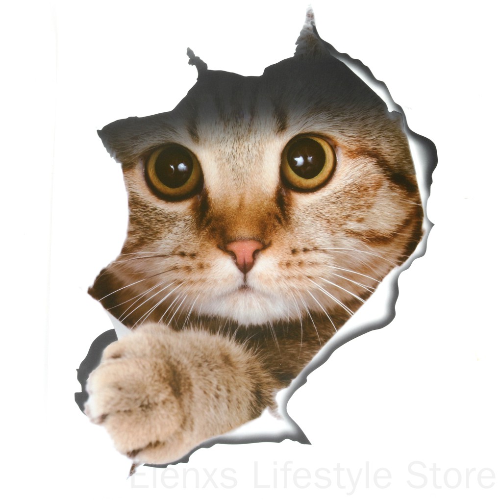 Nhãn dán hình mèo 3D trang trí dễ thương cho toilet 21x29cm