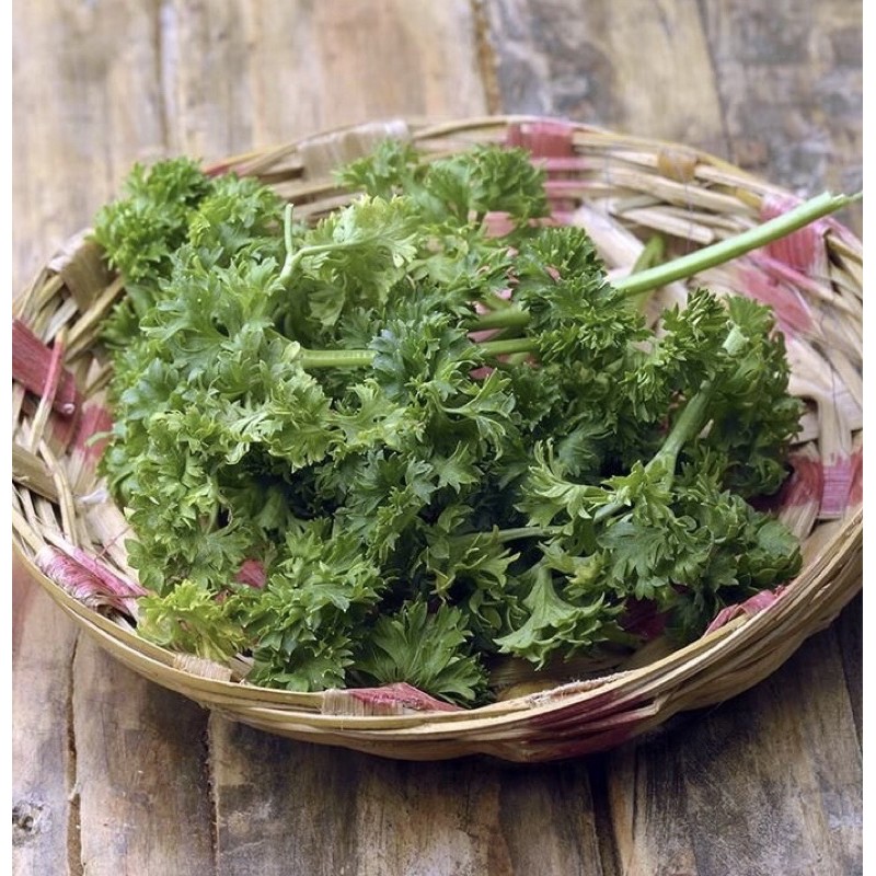 Cành Parsley Ngò Tây tươi gia vị nấu ăn món tây
