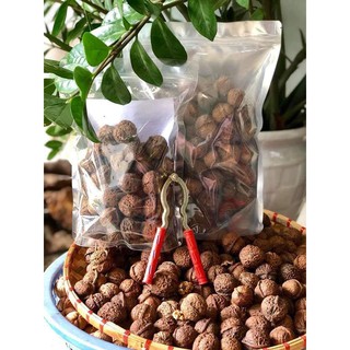 Combo óc chó rừng