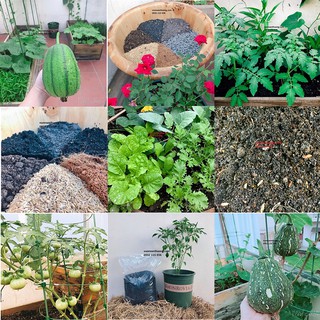 [ đất chuyên dụng] 1kg Đất trồng cây chuyên dụng, đất trồng trộn sẵn, mua 5 kg đất trồng tặng kèm hạt