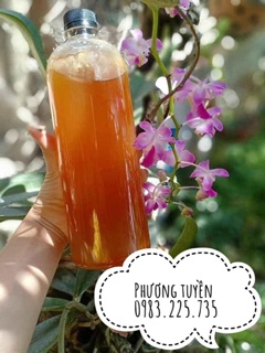 Mật ong rừng kbang