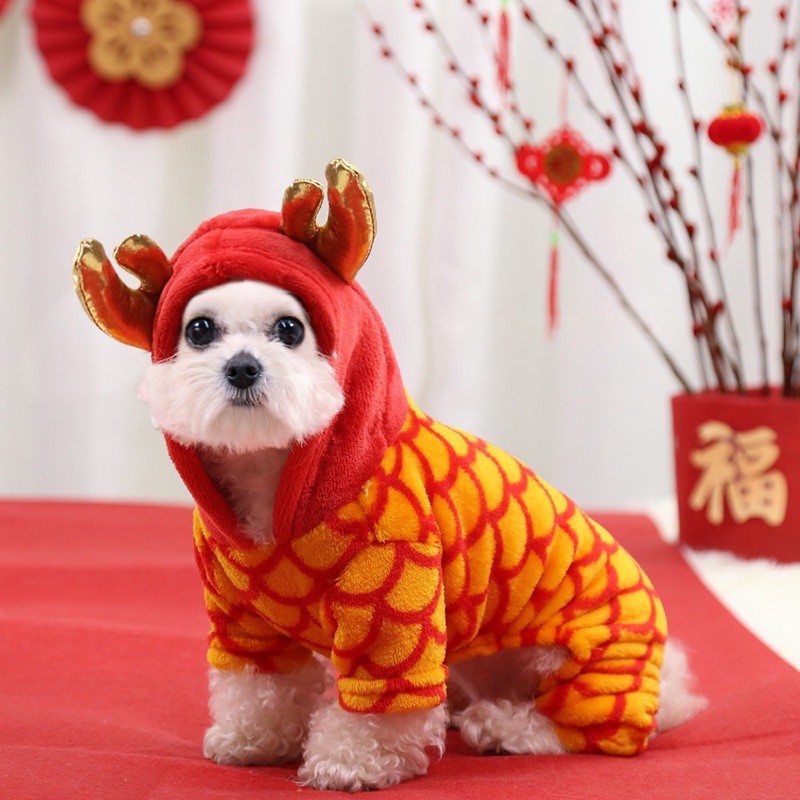 Áo tết rồng kute cho thú cưng
