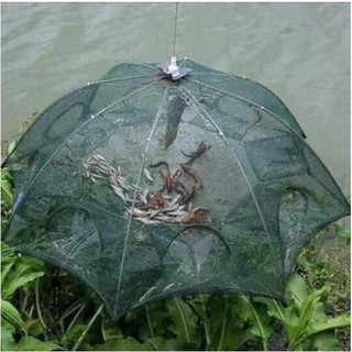 Lưới bát quái đánh bắt cá