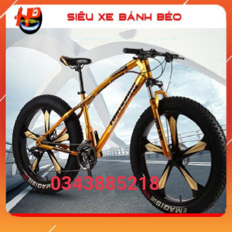 xe đạp thể thao bánh béo thu hút mọi ánh mắt