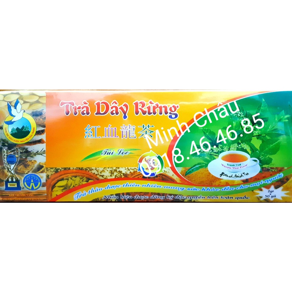 Trà Dây Rừng Nguyễn Thái Trang